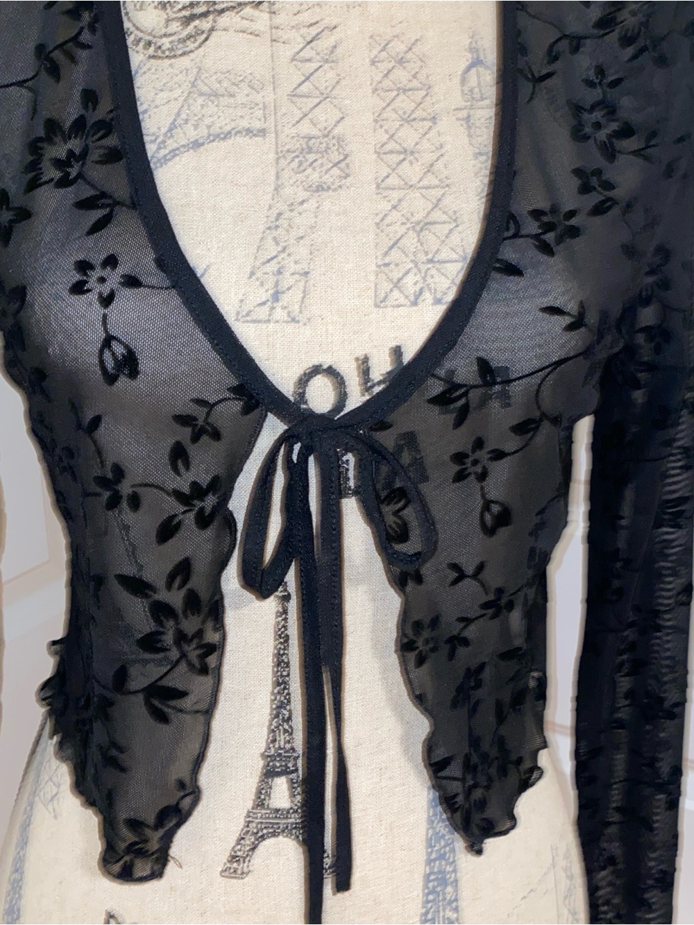 Sheer Floral burn out Tie-Front Crop Top ruffled hem whimsy - Black